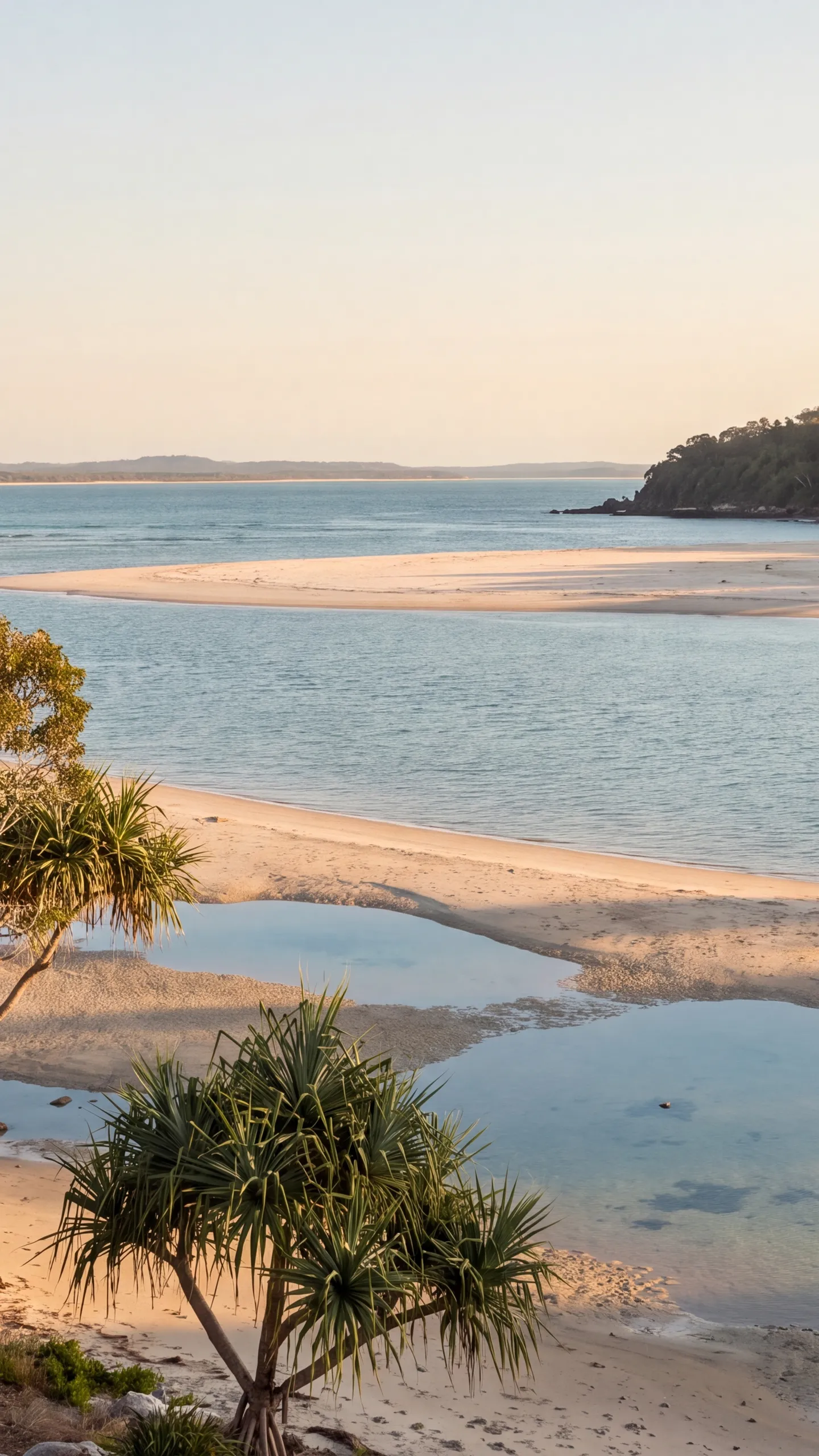 Story three: the creek mouth at golden hour, sand flats and pandanus, the headland across the water